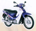 MODENAS