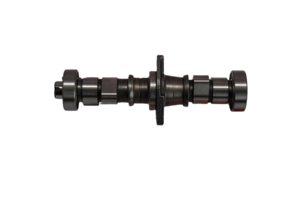 REGAL RAPTOR 350 CC EKSANTRİK MİLİ(SULU)