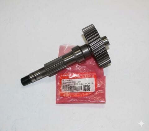 VOGE SR1 ŞANZUMAN AKS DİŞLİ LONCIN ORİJİNAL