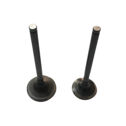 HONDA ACTİVA S 125 SUBAP TAKIMI OEM