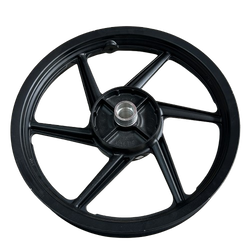 TVS RAIDER 125 JANT ARKA ORİJİNAL