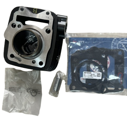 TVS RAIDER 125 SİLİNDİR KOMPLE ORİJİNAL