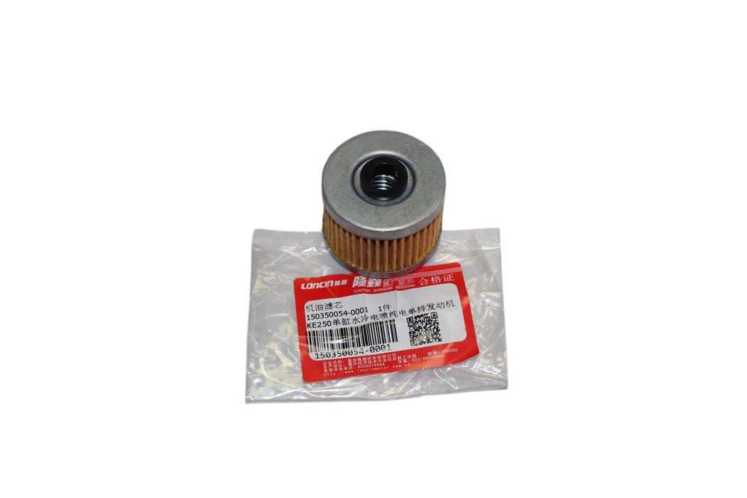 VOGE 250RR YAĞ FİLTRESİ LONCIN ORİJİNAL