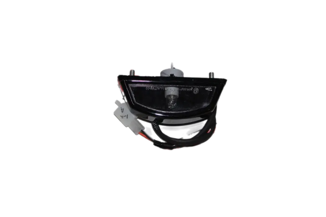 TVS RAIDER 125 PLAKA LAMBASI ORİJİNAL
