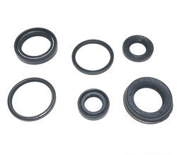 TVS PEP KEÇE 6'LI TK