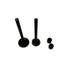 TVS PEP 75-90 CC SUBAP VE KEÇE SETİ VARROC