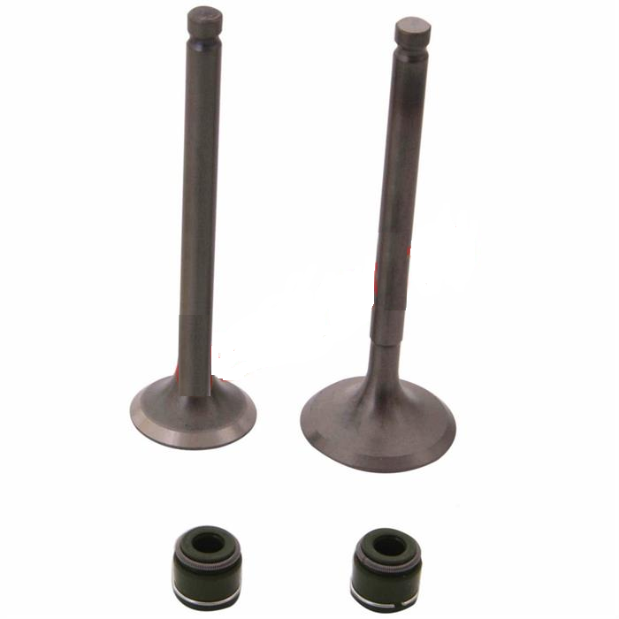 TVS PEP SUBAP VE KEÇESİ A TK