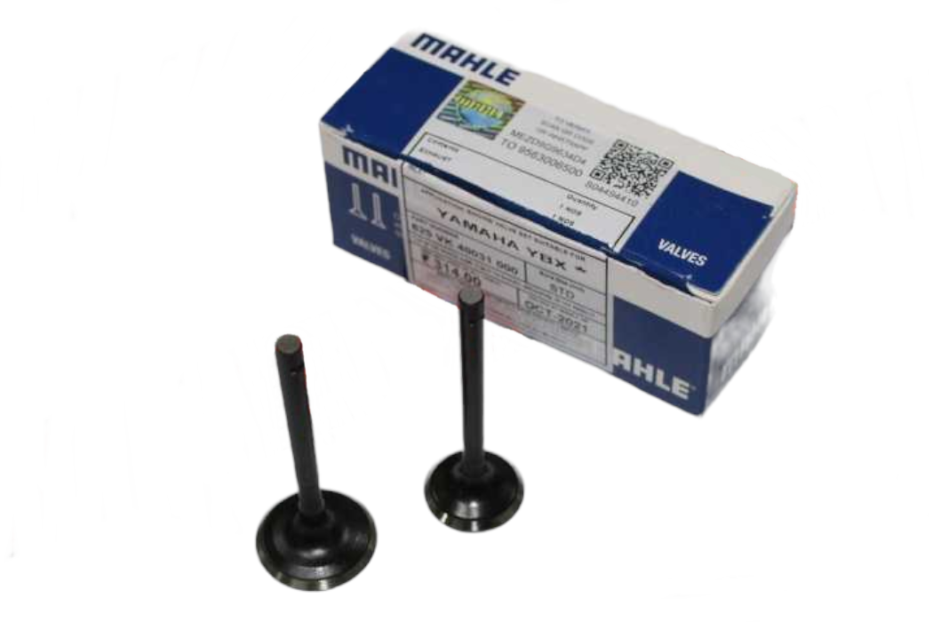 YAMAHA YBR 125 SUBAP MAHLE TAKIM