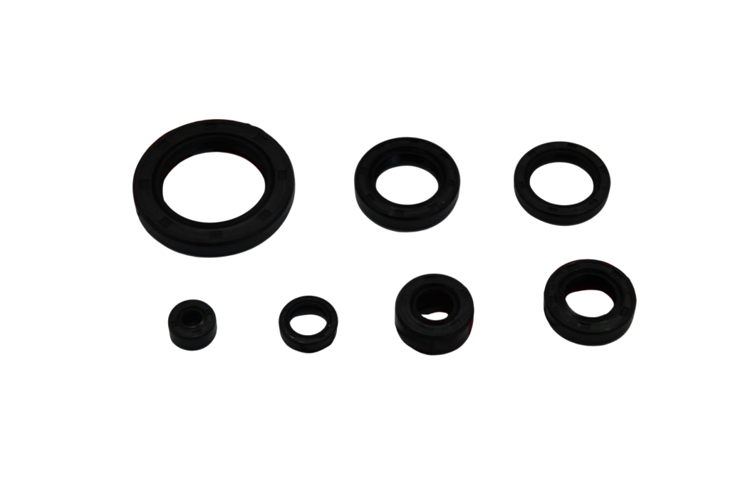 MONDİAL MCT 250 KEÇE SETİ