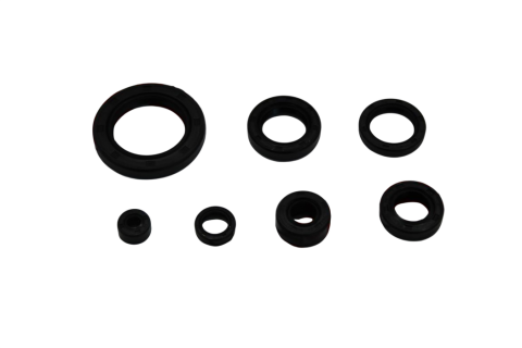 MONDİAL MCT 250 KEÇE SETİ