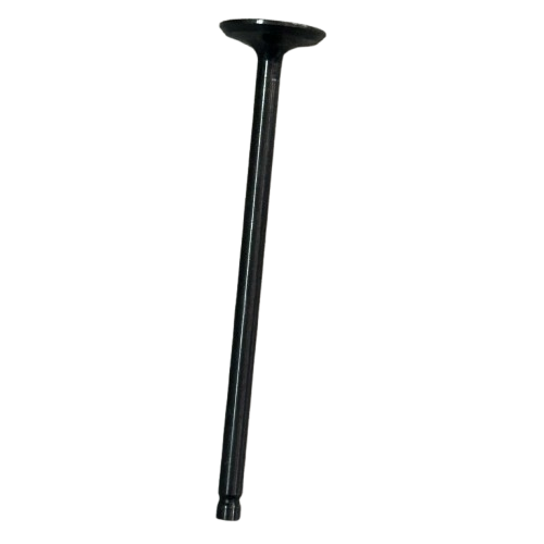 TVS RAIDER 125 SUBAP EMME ORİJİNAL