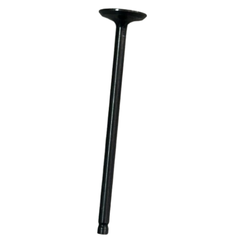 TVS RAIDER 125 SUBAP EMME ORİJİNAL