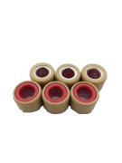 HONDA SPACY-ALPHA 110 AĞIRLIK BURÇ TAH.SETİ OEM 6LITK